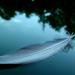 Feather