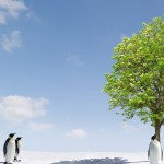 HD Wallpapers 19_097