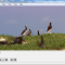 How To Take Video Screenshots In VLC Player vlcsnap1