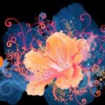 Stunning HD Wallpaper 187
