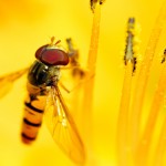Stunning HD Wallpaper 190