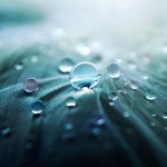 Stunning HD Wallpaper 192