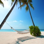 Stunning HD Wallpaper 197