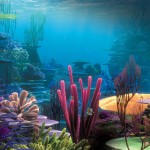 Stunning HD Wallpaper 237