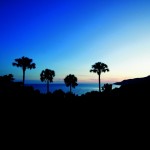 Stunning HD Wallpaper 238