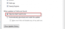 Firefox update settings