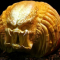 Predator Pumpkin