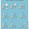 Evolution Of Computer