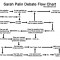 Sarah Palin Debate Flow Chart