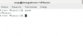 Showing current working directory
