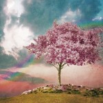 Stunning HD Wallpapers For Your Desktop #52
