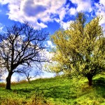 Stunning HD Wallpapers For Your Desktop #52