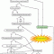 Meetings flowchart : funny