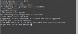 Installing And Using ZFS In Linux Mint / Ubuntu