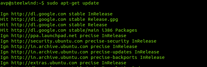 Running the update in Linux Mint/Ubuntu 