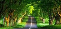 Stunning HD Wallpapers For Your Desktop_58_013