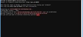 Secure Shell: A Cool ssh Plugin For Chrome Browser