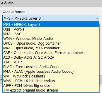 choosing the output audio format in Pazera Free Audio Extractor