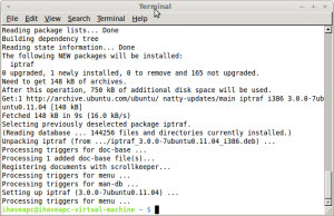 Installing iptraf in Linux Mint / Ubuntu
