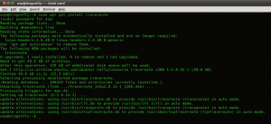 Installing traceroute in Linux Mint / Ubuntu