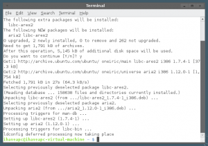 Aria2: A Cool Command Line Download Utility For Linux Mint / Ubuntu