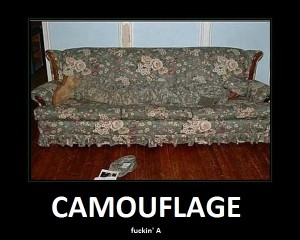 Cool Camouflage
