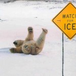 Funny Sign Boards