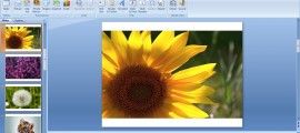 How To Insert Multiple Photos As Slides In Powerpoint 2007 or 2010_005