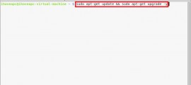 How To Quickly Update Linux Mint / Ubuntu With A Single Command