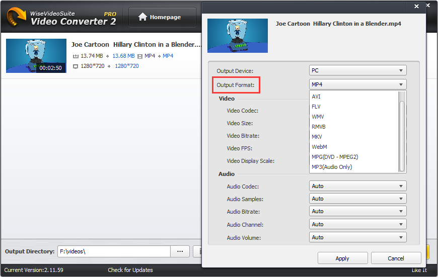 choose output video format in wise video converter