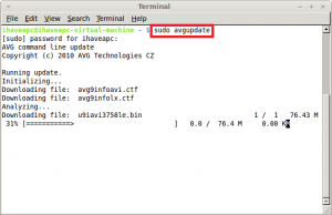 Updating AVG Anti-Virus In Linux