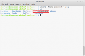 How To Quickly Grab Screenshot Of Desktop From Terminal In Linux Mint / Ubuntu